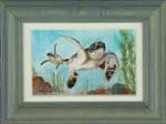 Green Sea Turtle Miniature – 2 ½ x 4, Worldwide oceans
