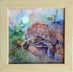 Tortoise Moon – 4” x 4” - Mojave