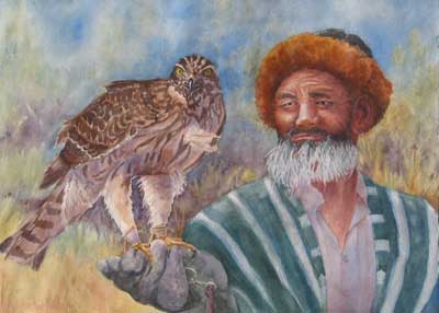 Hunting Goshawk