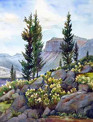 Flattops, CO, Spring Awakening